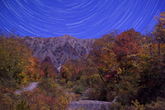 月夜の大山三ノ沢紅葉