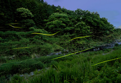 三朝温泉のホタル