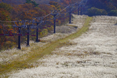 晩秋の大山スキー場