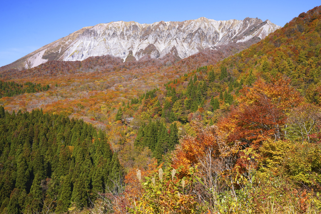 大山鍵掛峠紅葉2020