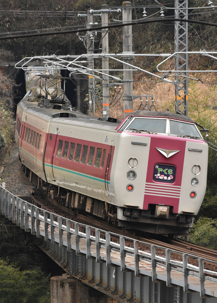 特急やくも381系