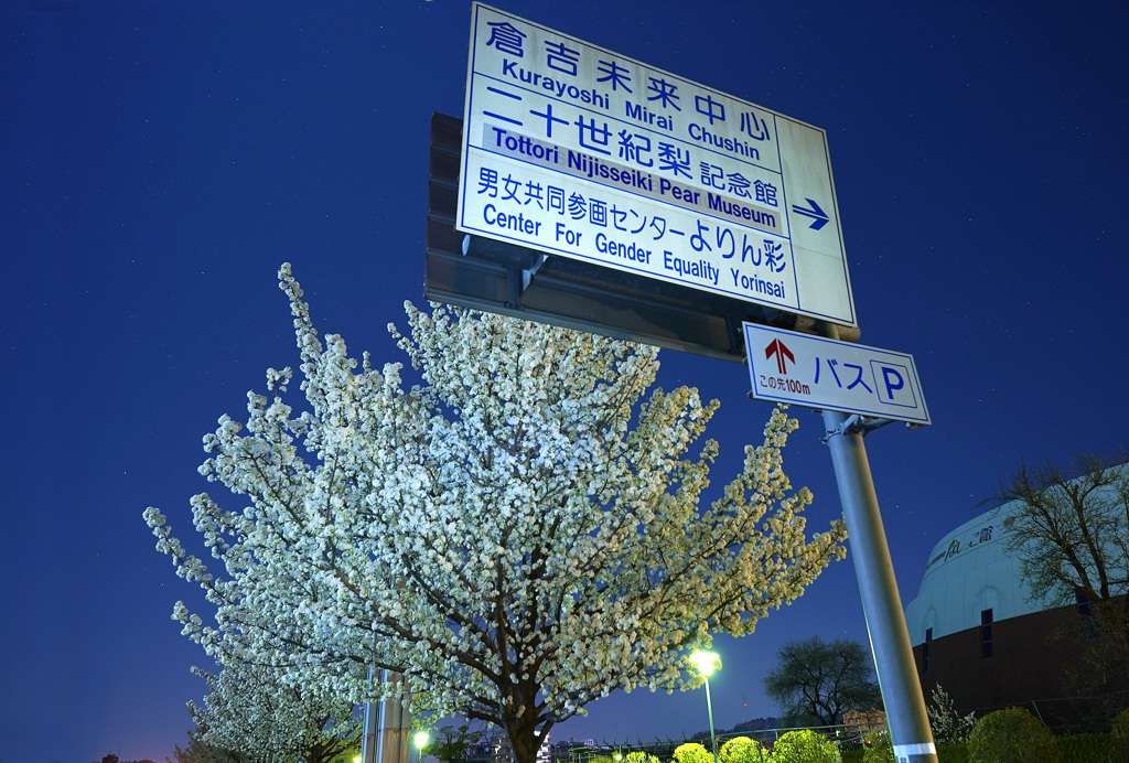 倉吉未来中心の夜