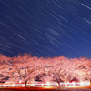 豊房の桜と沈むオリオン座
