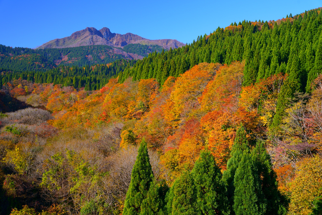 紅葉の裏大山