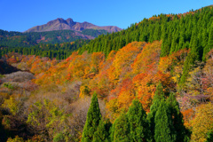 紅葉の裏大山