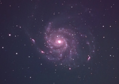 M101