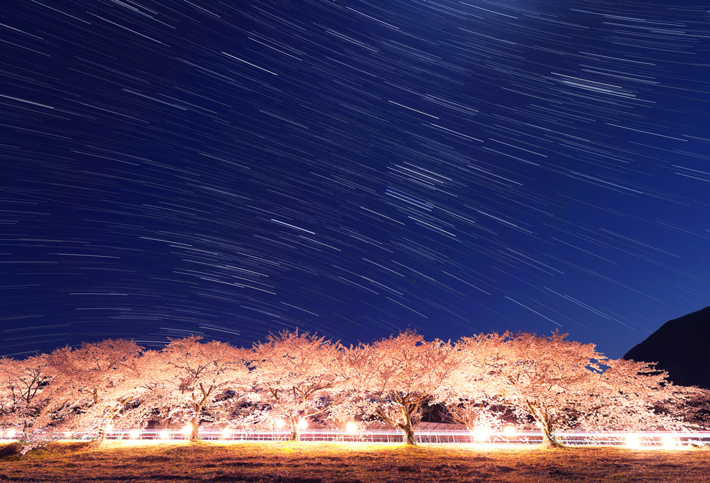 豊房の桜と冬の大三角