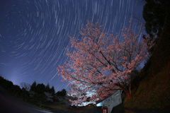 月夜の桜と春の星座