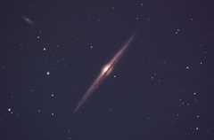 NGC4565