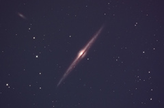 NGC4565