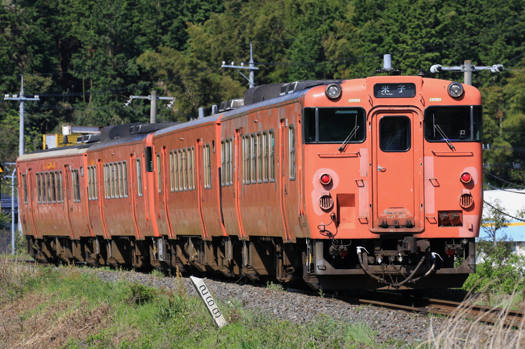 キハ47タラコ列車