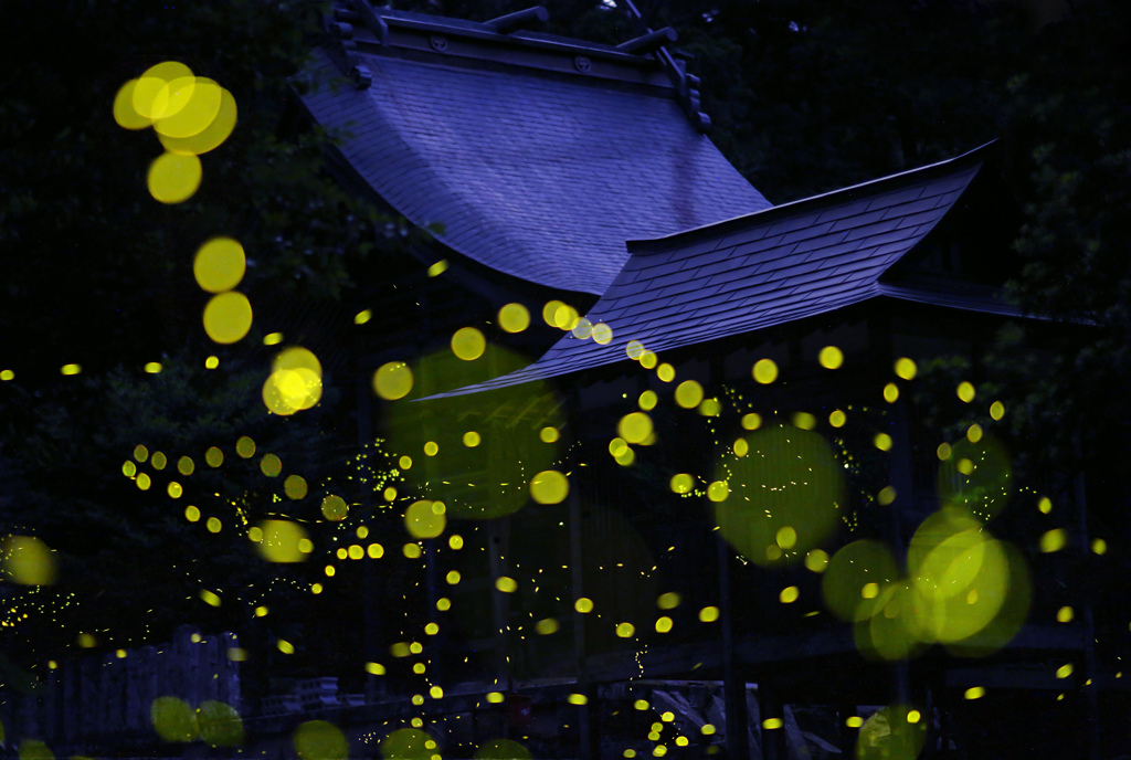 姫の住む神社