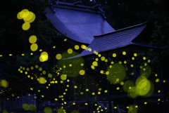 姫の住む神社