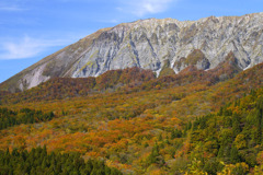 2025.11.4 大山鍵掛峠紅葉