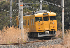 キハ115