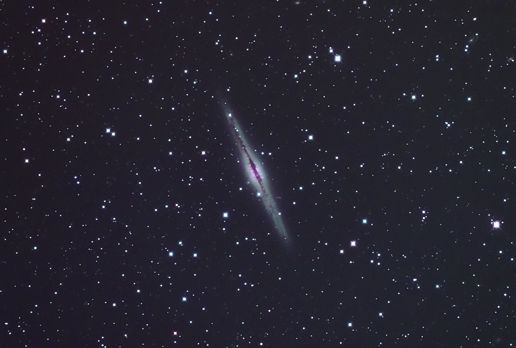 NGC891