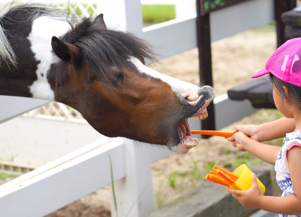 ちょっと恐い餌やり