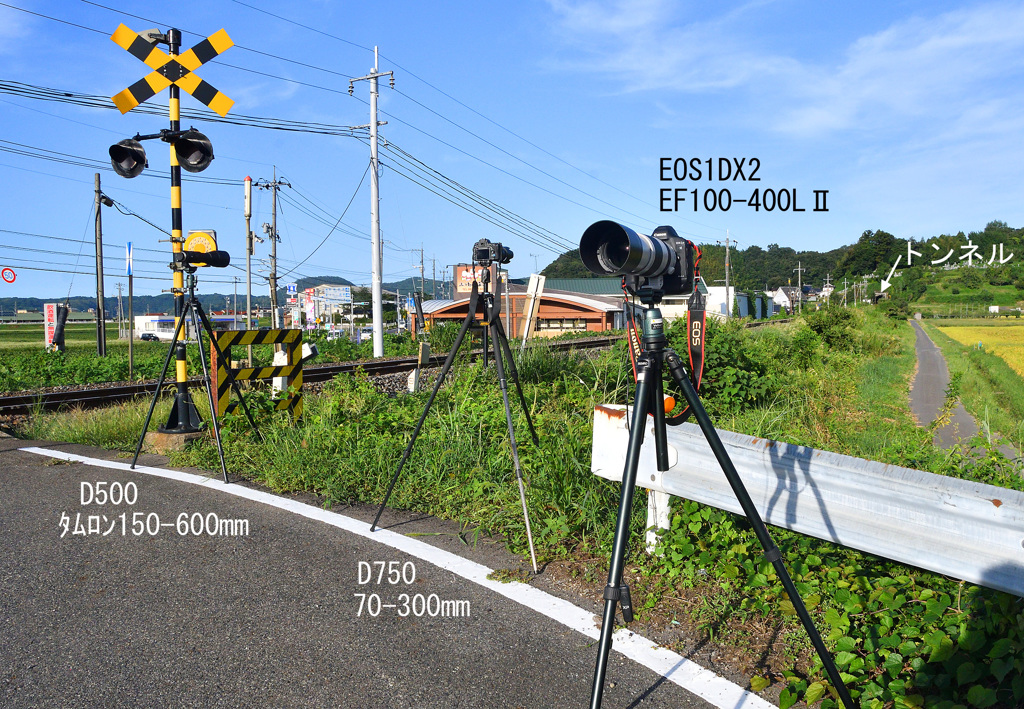 今回の撮影の様子