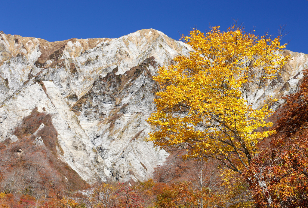 晩秋の大山南壁