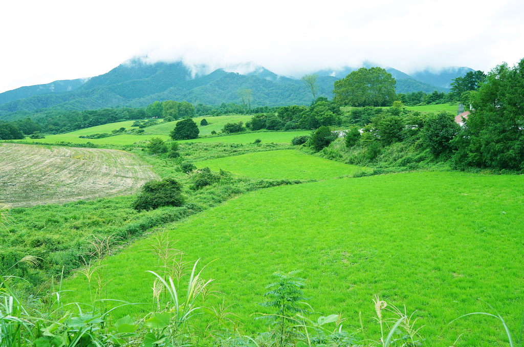 蒜山高原