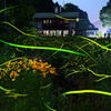 せせらぎ公園の夜