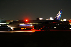 Night Arrival
