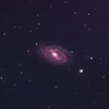 M109
