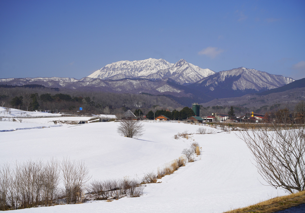 冬晴れの蒜山高原