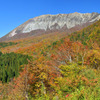 2016.11.5 大山鍵掛峠紅葉