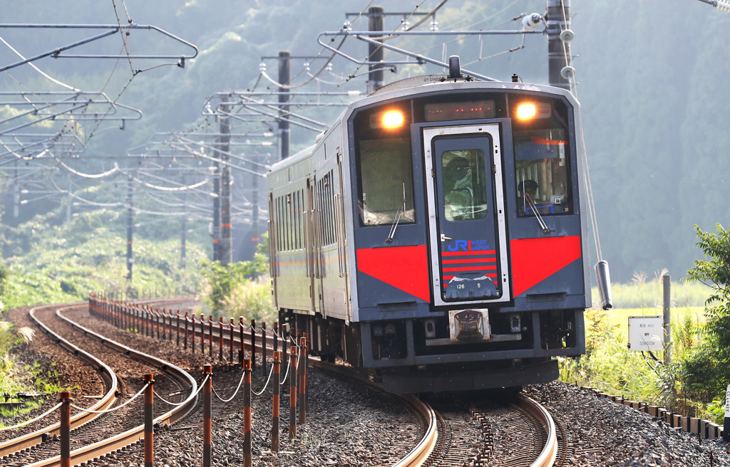 EF100-400LⅡ+EOS-1DXⅡ作例