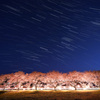 豊房の桜と冬の大三角
