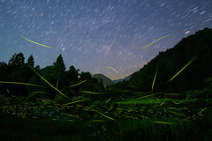 三朝温泉のホタル