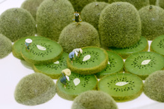 ミニチュア ライフ展