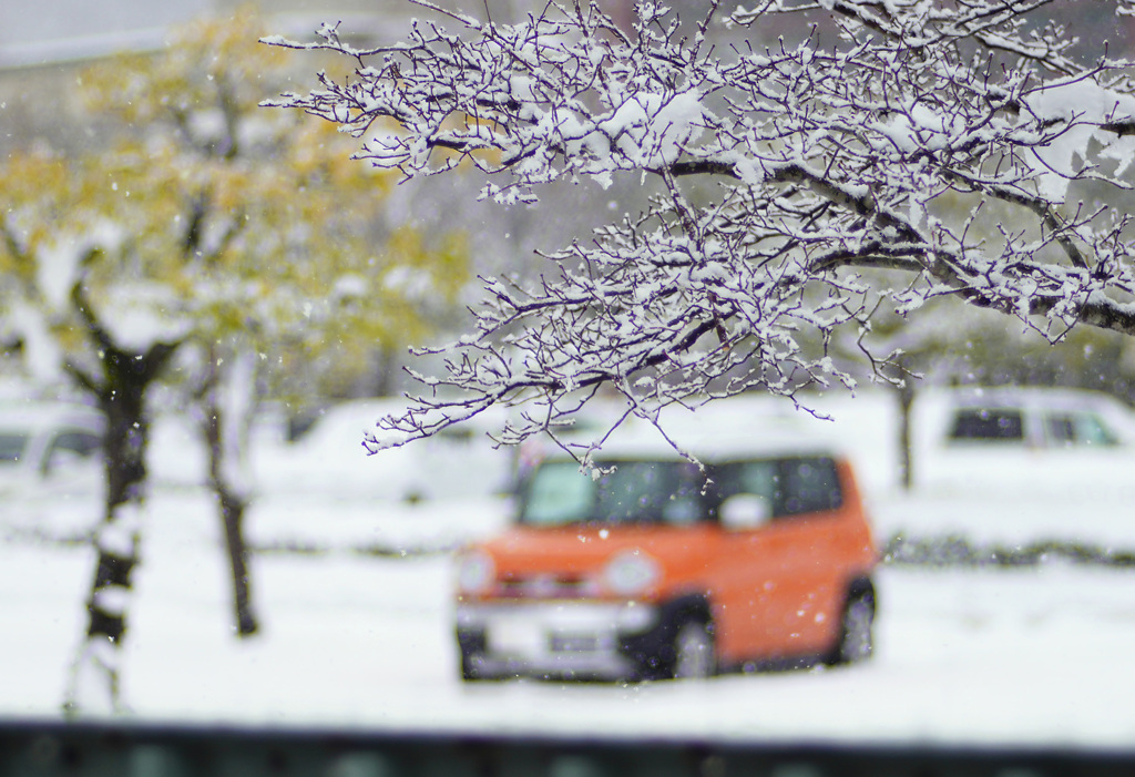 窓の外は雪