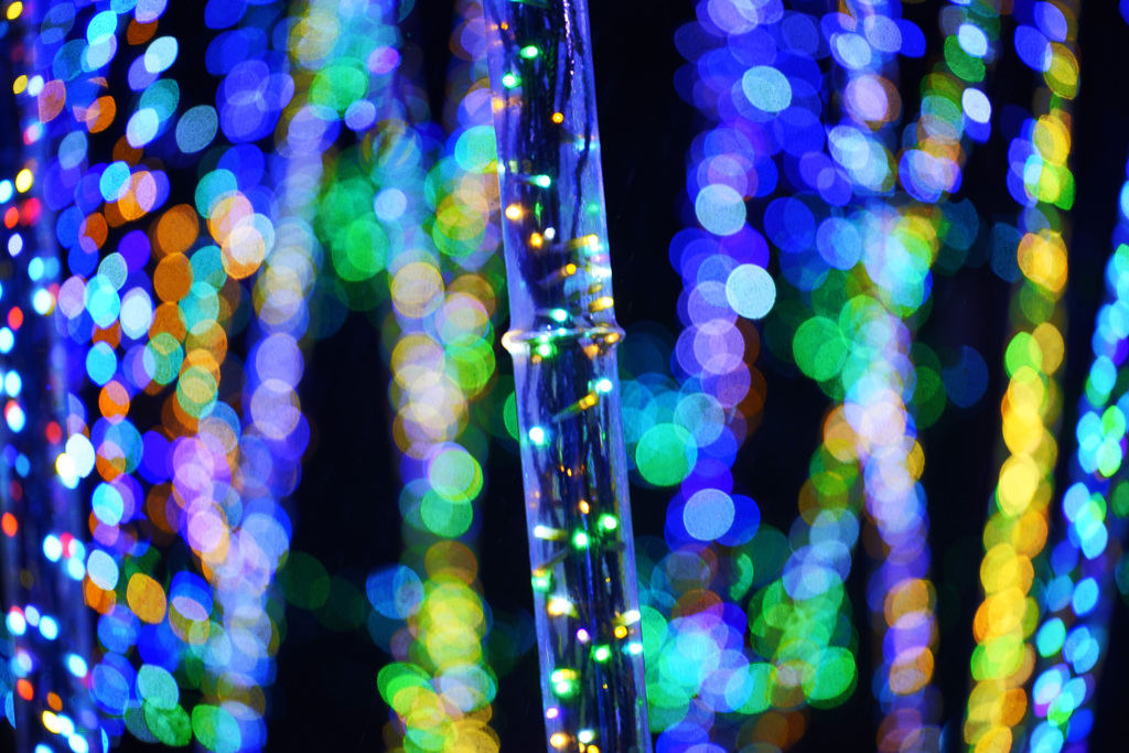 由志園イルミネーション