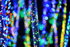 由志園イルミネーション