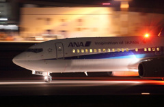 Night Arrival
