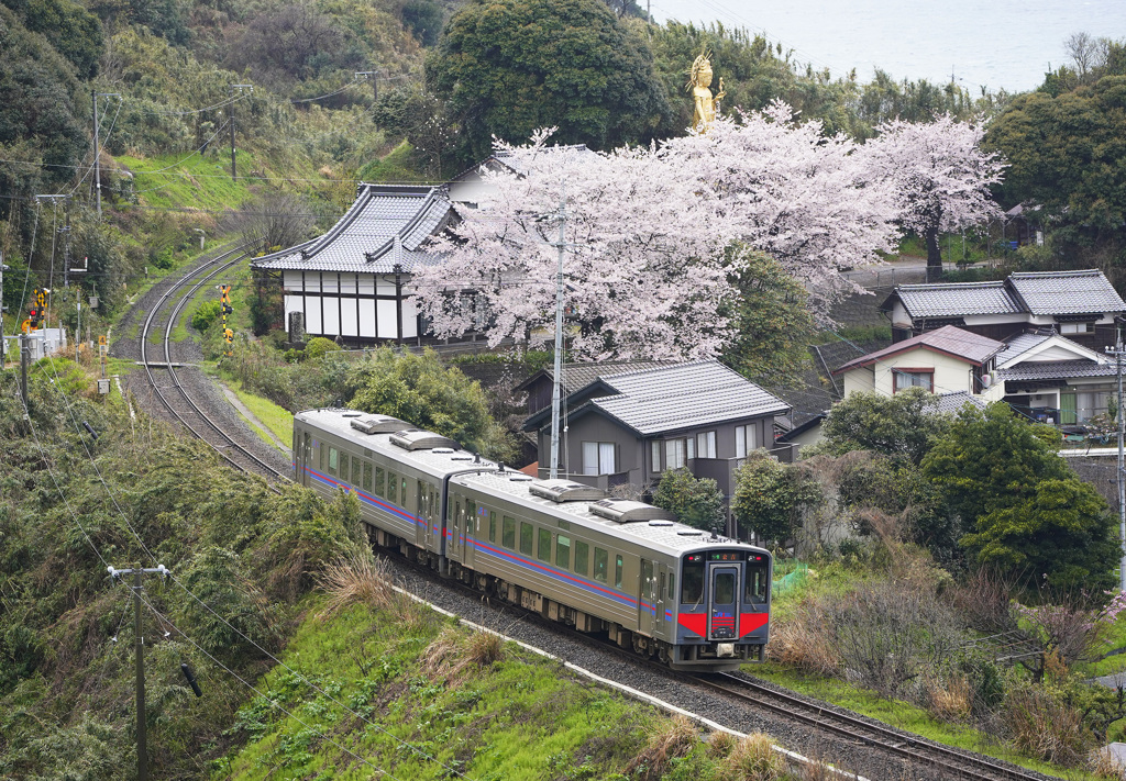 大宝寺の桜と普通列車