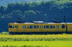 ひまわりと伯備線各停