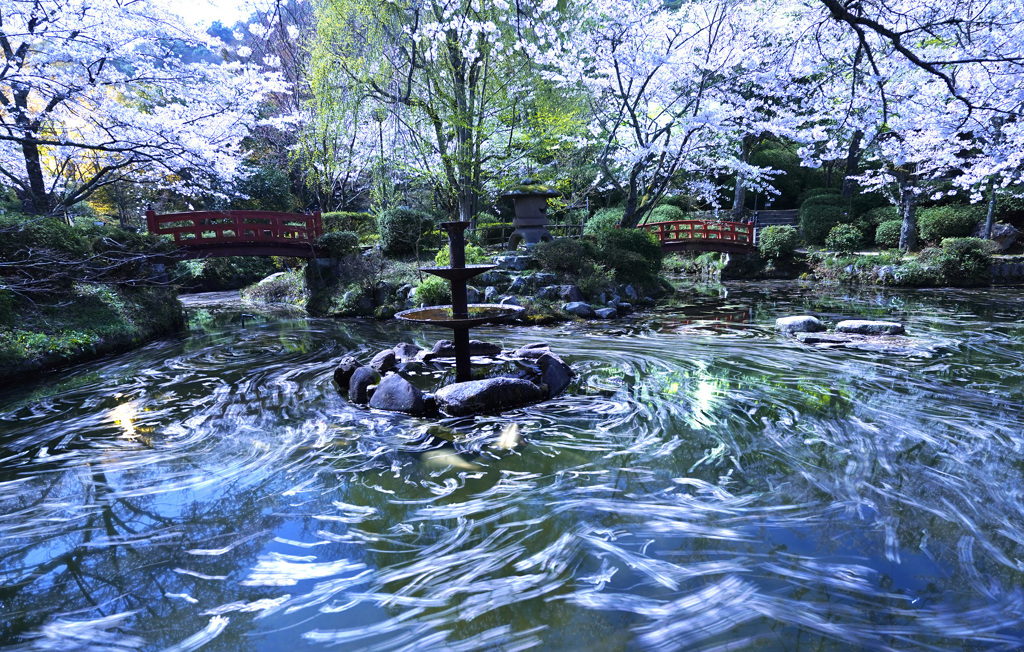 落花の流れ
