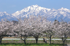 伯耆大山の春