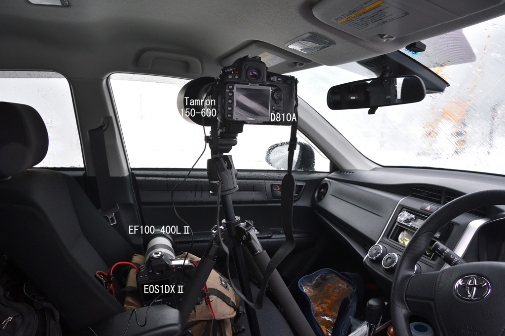 今回の撮影の様子