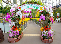 花回廊ランまつり