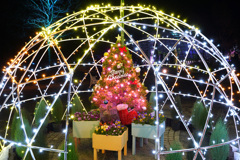 ひと足早いクリスマス