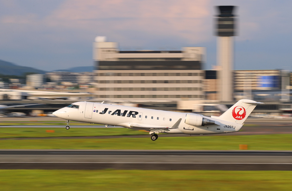 シグマArt135mmF1.8テスト