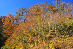晩秋の大山紅葉