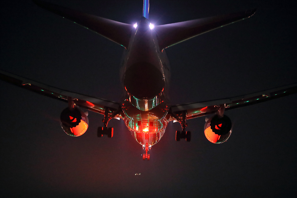Night Arrival