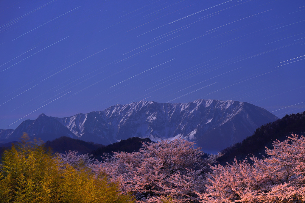 月夜の大山と桜