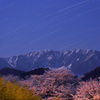 月夜の大山と桜