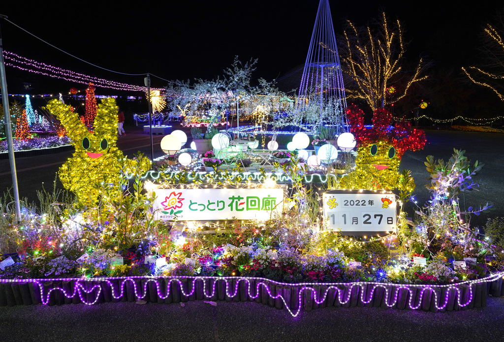 とっとり花回廊イルミネーション